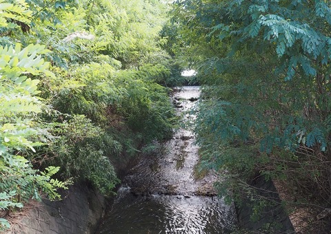 P9050669