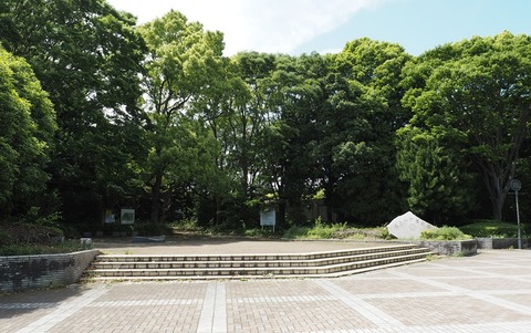 P5049669