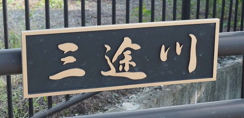 P9050667