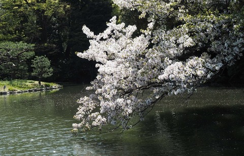 P4094134