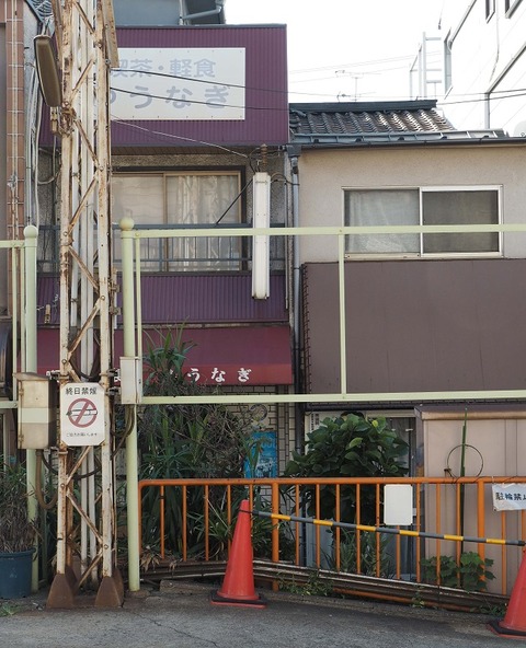 P9295573