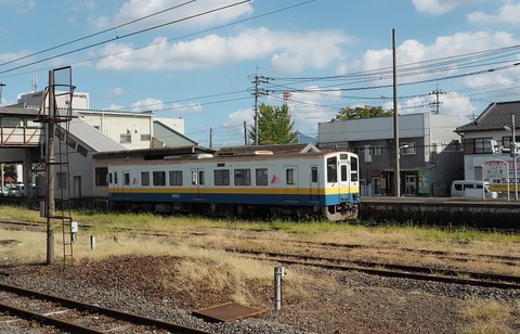 P9054698