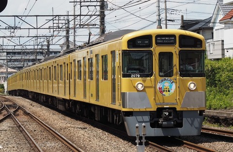 P4294358