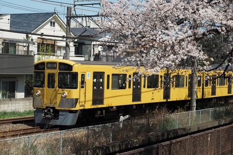 P4039333