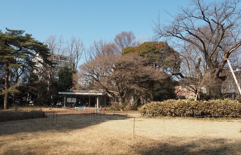 P1213206