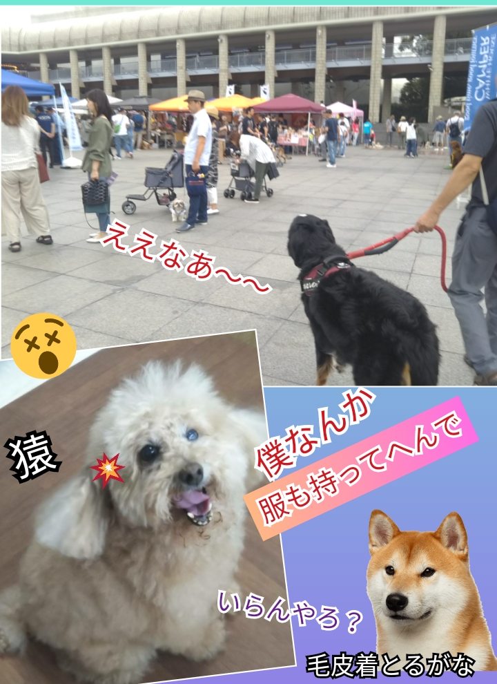 CollageMaker_20190929_125317630