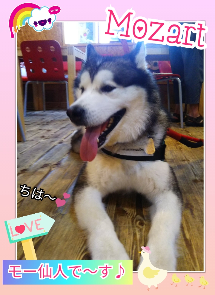 落ち着き無き悪魔の動画 モー仙人記