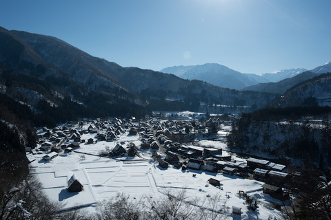 nikon_5871