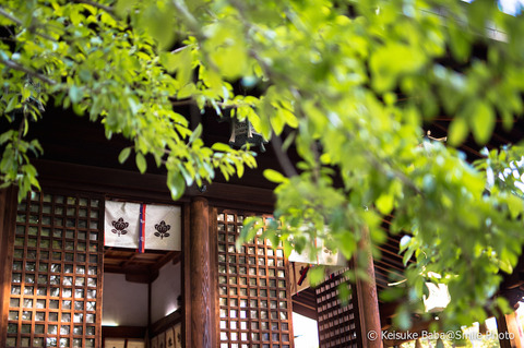 城山八幡宮-16