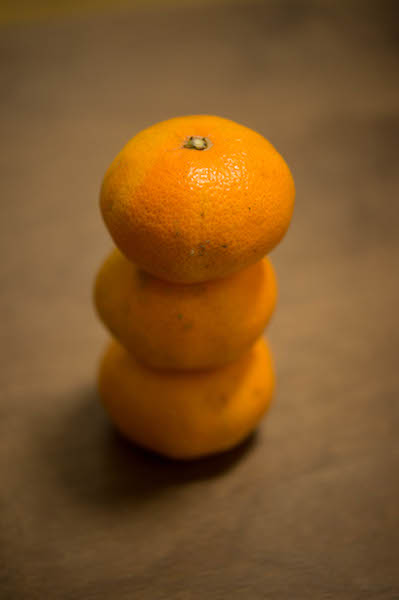 nikon_5505