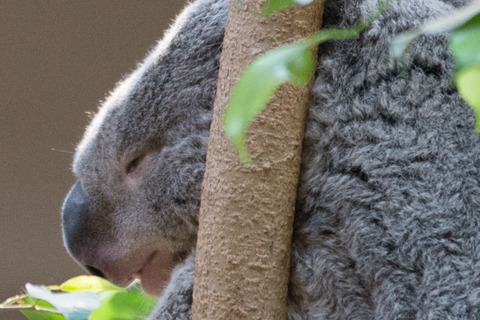 東山動物園等倍-1