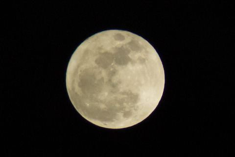 nikon_5843