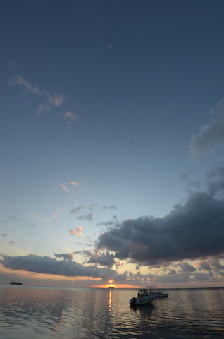DSC_0174