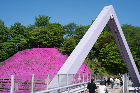 20150505_西山公園-4