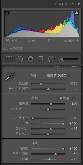 Lightroom5_edit1