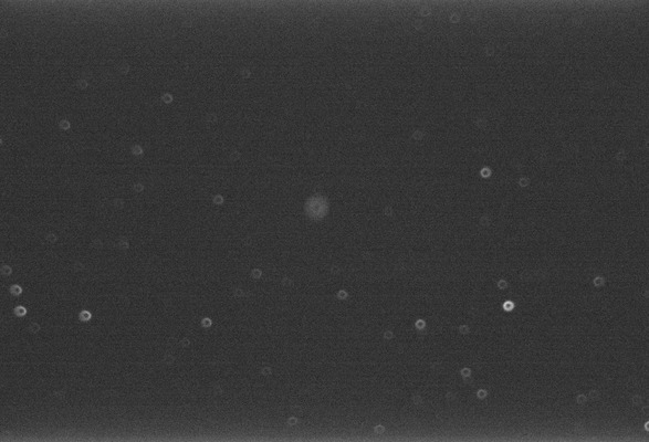 Capture_00001 03_23_00