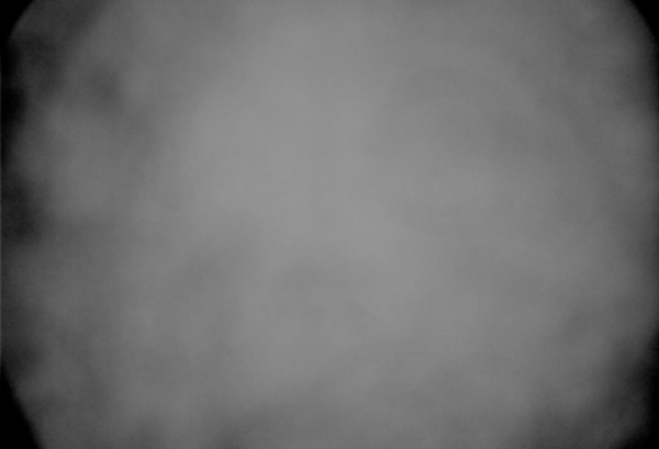 masterFlat_BIN-2_FILTER-B_Mono