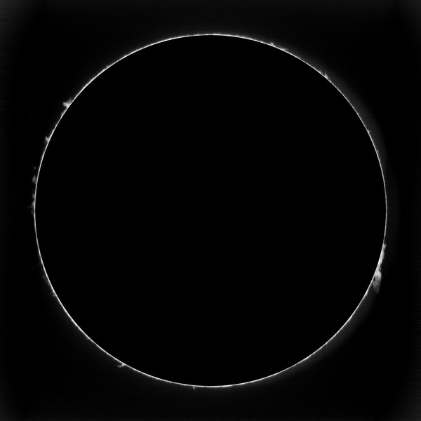 12_25_29-trimmed_0000_12_25_29-trimmed_protus_0_00