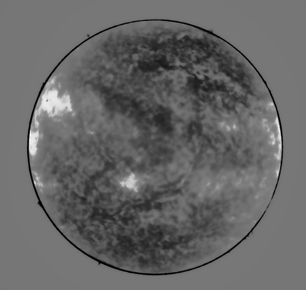 Integration_of_53_clone_filled_3_cut