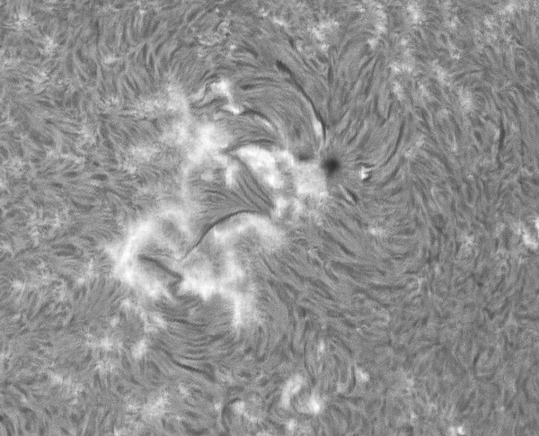 IP_aligned_lapl2_ap8066_IP_PS_PI_mono_01