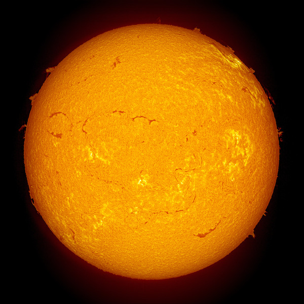 IP_aligned_lapl2_ap5370_IP_histgram_inv_color_inv_small