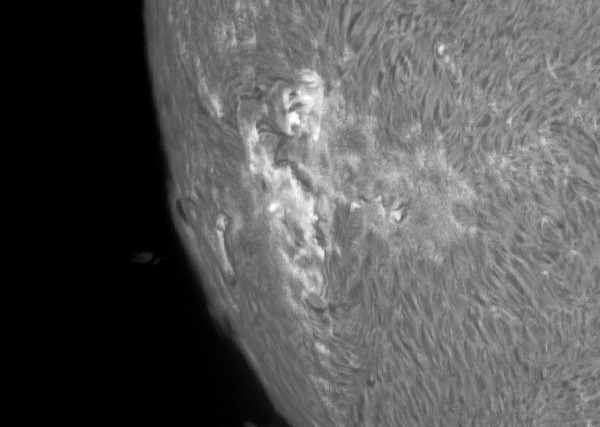 IP_aligned_lapl2_ap8066_IP_PS_PI_mono_03