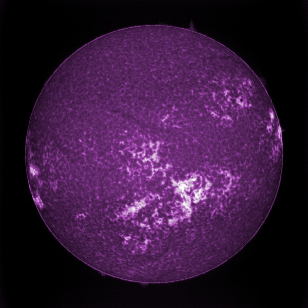 12_59_02-trimmed_0000_12_59_02-trimmed_mix_0_00