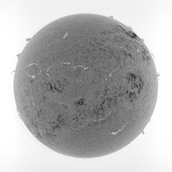 IP_aligned_lapl2_ap5370_IP_histgram_inv