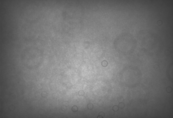 masterFlat_BIN-2_FILTER-R_Mono
