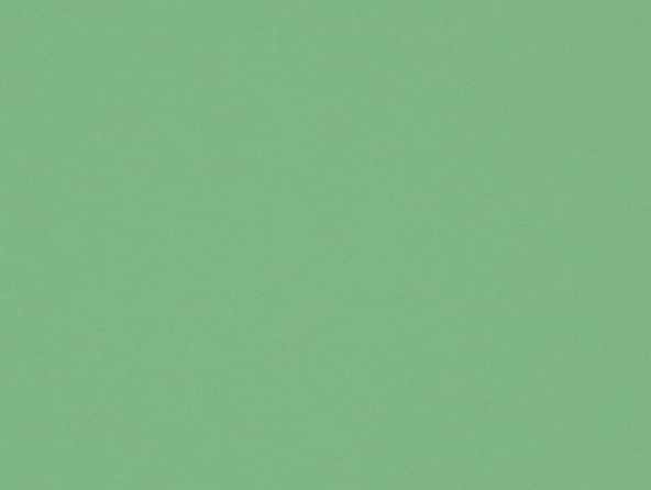 _2022_06_19_16_38_23_NGC_7000_FLAT__0_20s_g120_23_50c_0068_cut