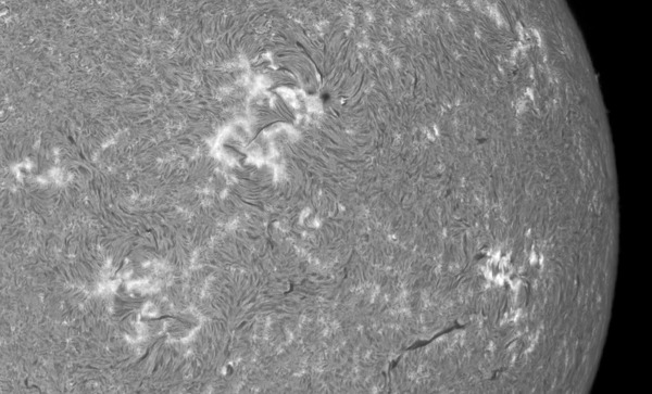 IP_aligned_lapl2_ap8066_IP_PS_PI_mono_05