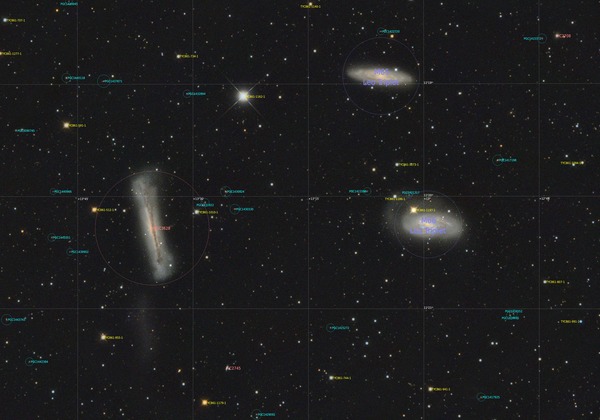 Image206_pink_ASx4_bg4_Annotated