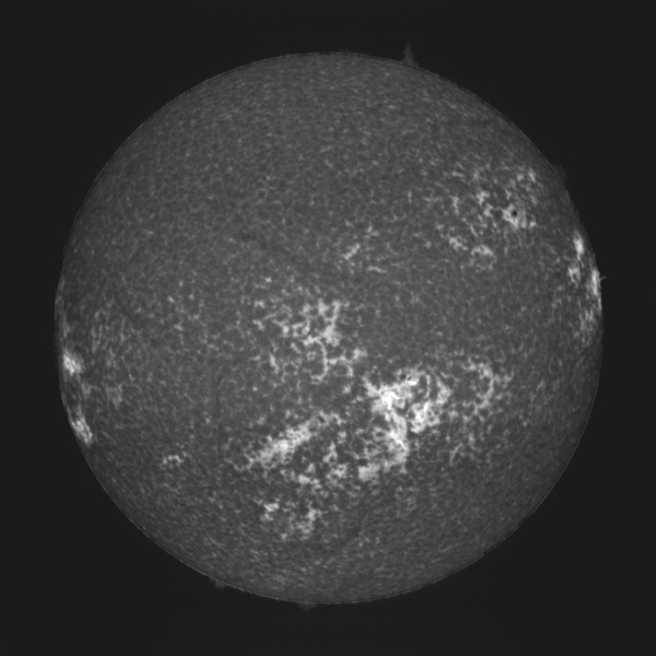 12_59_02-trimmed_0000_12_59_02-trimmed_autostretch_0_00