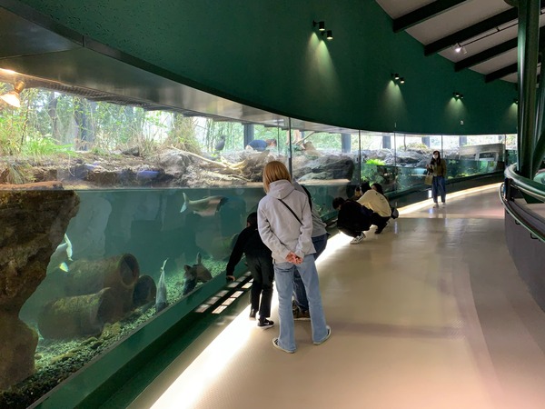 0E7B90C5-1107-492A-8A41-647F0CA368B2