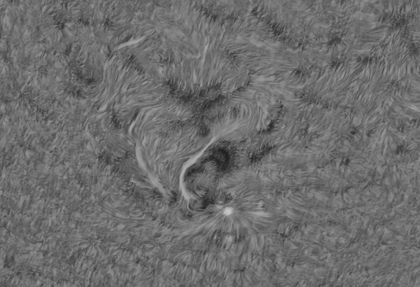 10_36_27_lapl2_ap6587_mono_inv_inv_cut1-topaz-upscale-2x