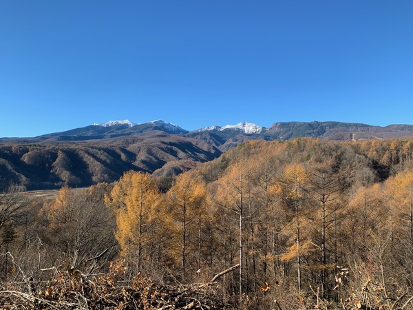 IMG_3870