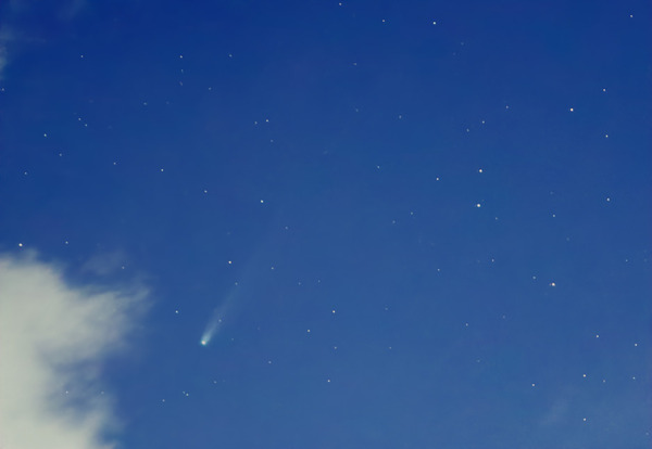 IMG_0066_crop_BXT_HT_NXT