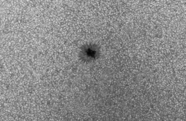 11_00_34_l2_ap3983_IP_cut