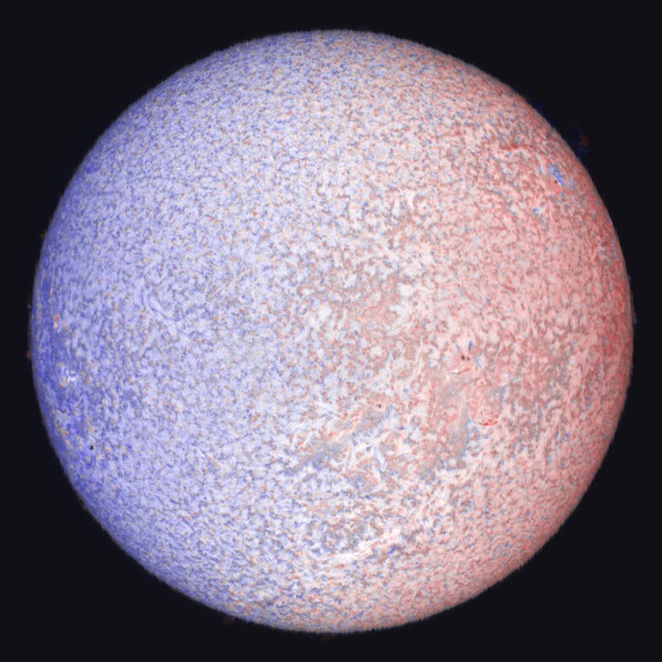 09_01_29-trimmed_0000_09_01_29-trimmed_doppler