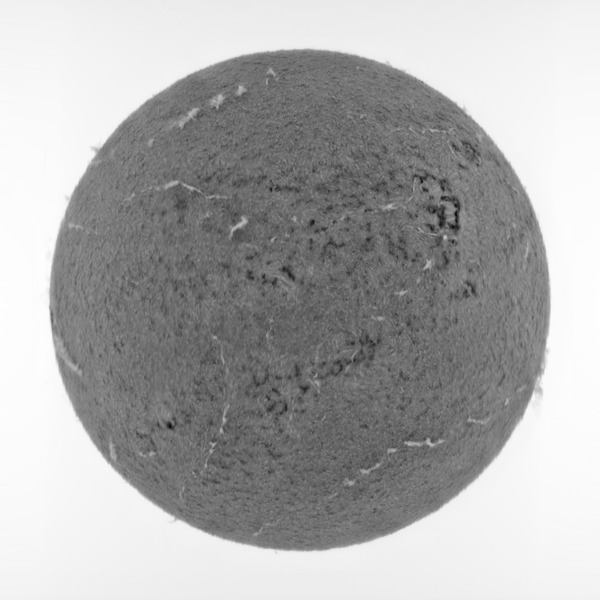 12_25_29-trimmed_0000_12_25_29-trimmed_negative_0_00