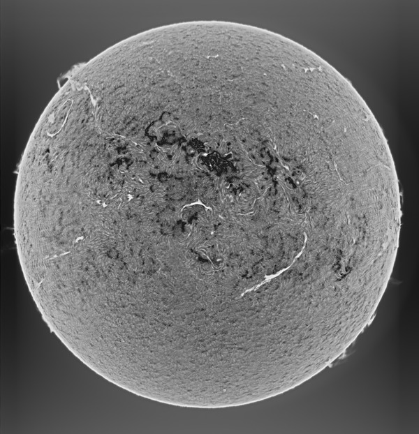 IP_crop_lapl2_ap23267_IP_inv