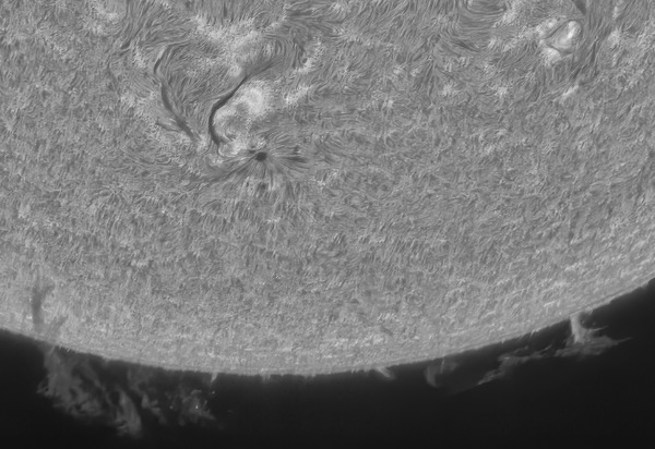 10_36_27_lapl2_ap6587_mono_sharpen_cut1