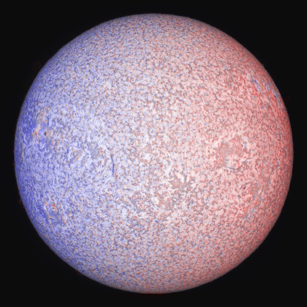 09_54_27_0000_09_54_27_doppler