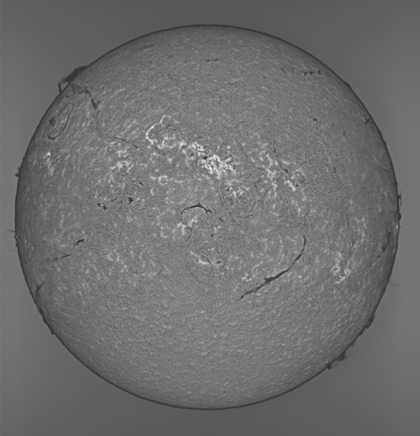 IP_crop_lapl2_ap23267_IP_2