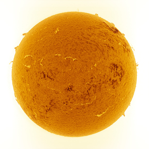 IP_aligned_lapl2_ap5370_IP_histgram_inv_color_inv_small