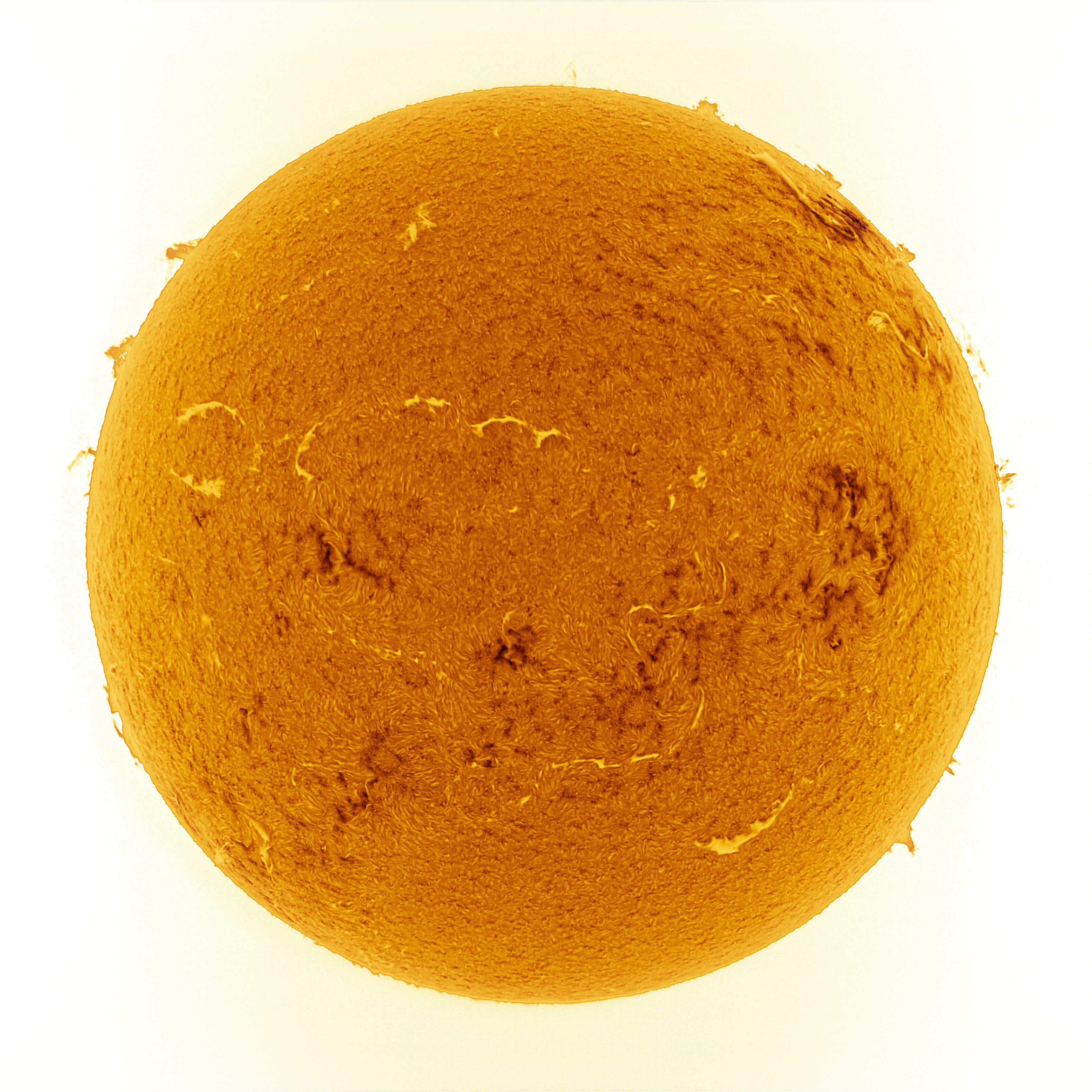 2025/11/15の太陽 : ほしぞloveログ