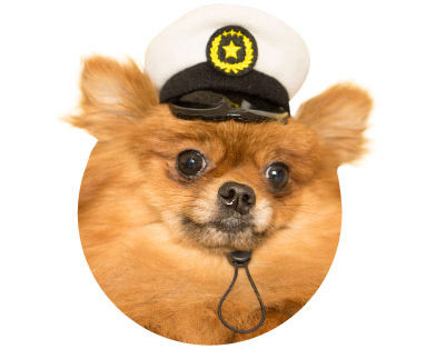 ガチャガチャ いぬのかぶりもの第1弾 かわいい かわいい 犬のおまわりさん 登場 もふもふちゃんねる