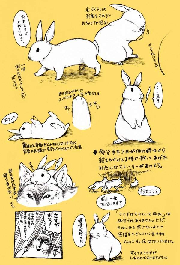 Pixivで大人気マンガ うさぎのボスと手下のオオカミが織りなすずっこけコメディ うさぎは正義 著者 井口病院 もふもふちゃんねる Pixivで大人気マンガ うさぎのボスと手下のオオカミが織りなすずっこけコメディ うさぎは正義 著者 井口病院 もふもふちゃんねる