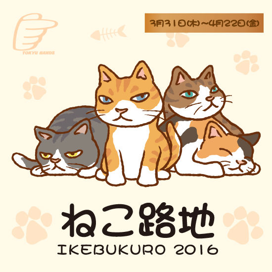 本日より開催 池袋東急ハンズ ねこ路地 Ikebukuro 16 もふもふちゃんねる 本日より開催 池袋東急ハンズ ねこ路地 Ikebukuro 16 もふもふちゃんねる