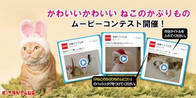 ガチャガチャ ねこのかぶりもの第5弾 かわいい かわいい ねこうさぎちゃん 登場 ムービーコンテスト開催 もふもふちゃんねる